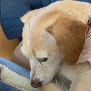 Meet your Posher, Yvette